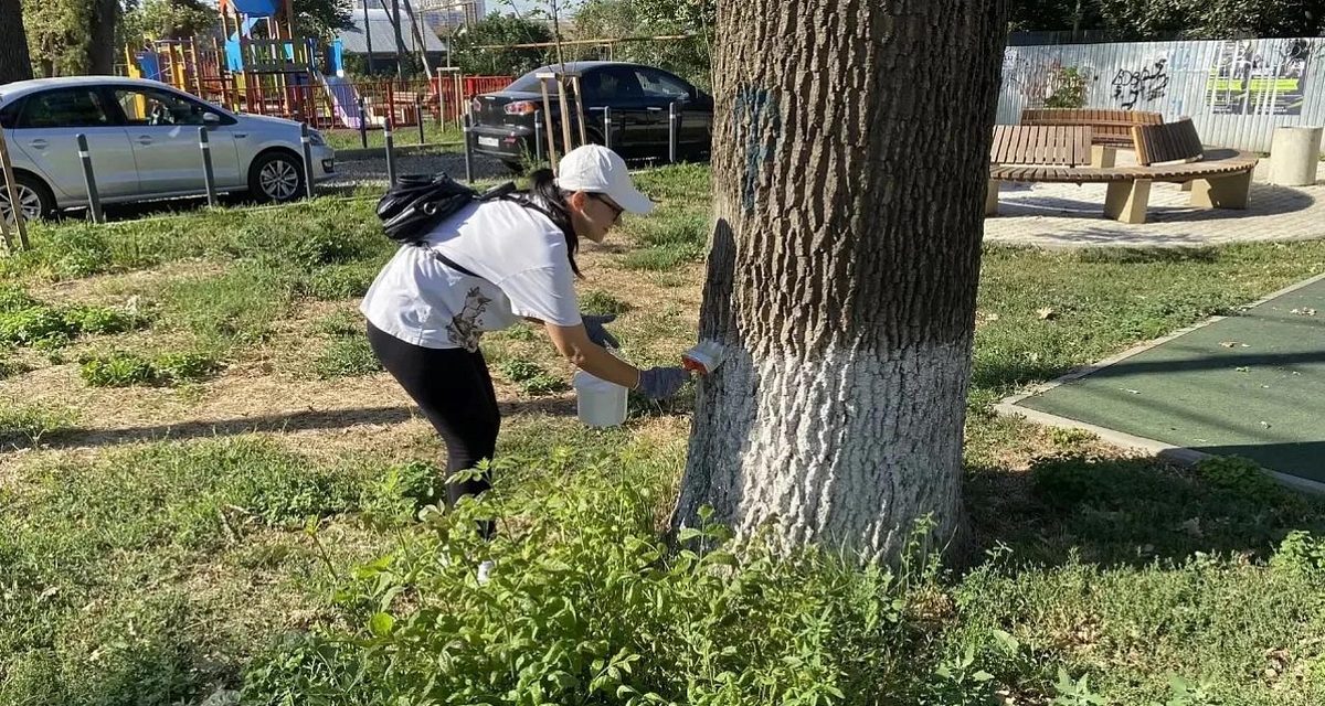Тысячи краснодарцев собрали 670 кубометров мусора перед 233-летием города