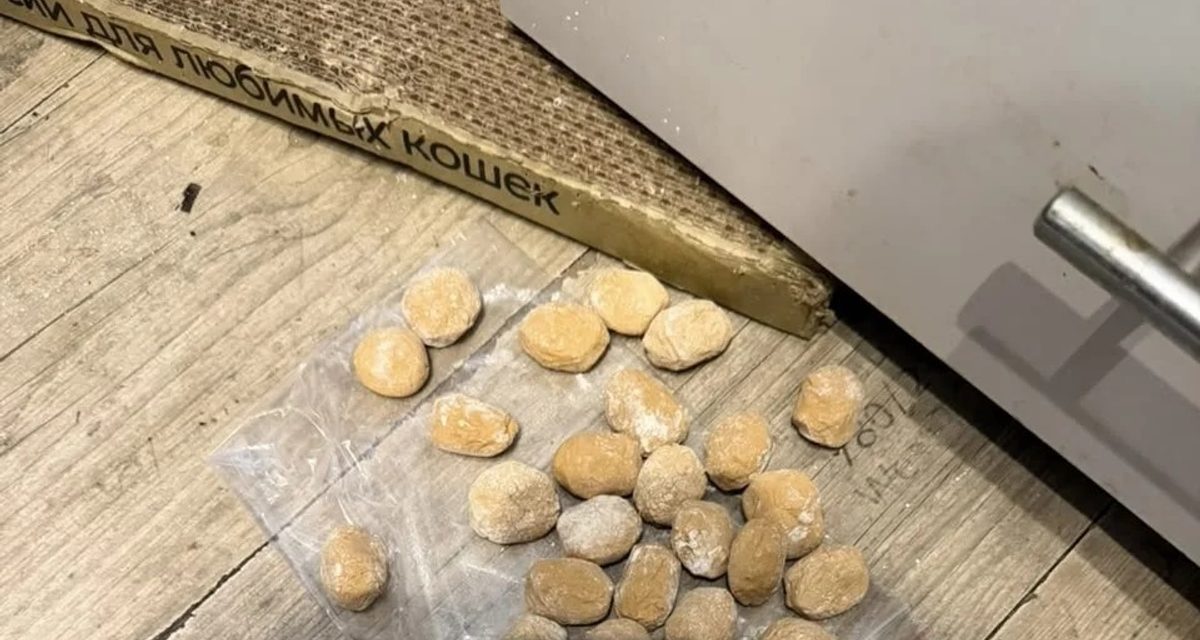 В Сочи задержали пытавшегося сбежать наркокурьера с 570 граммами мефедрона